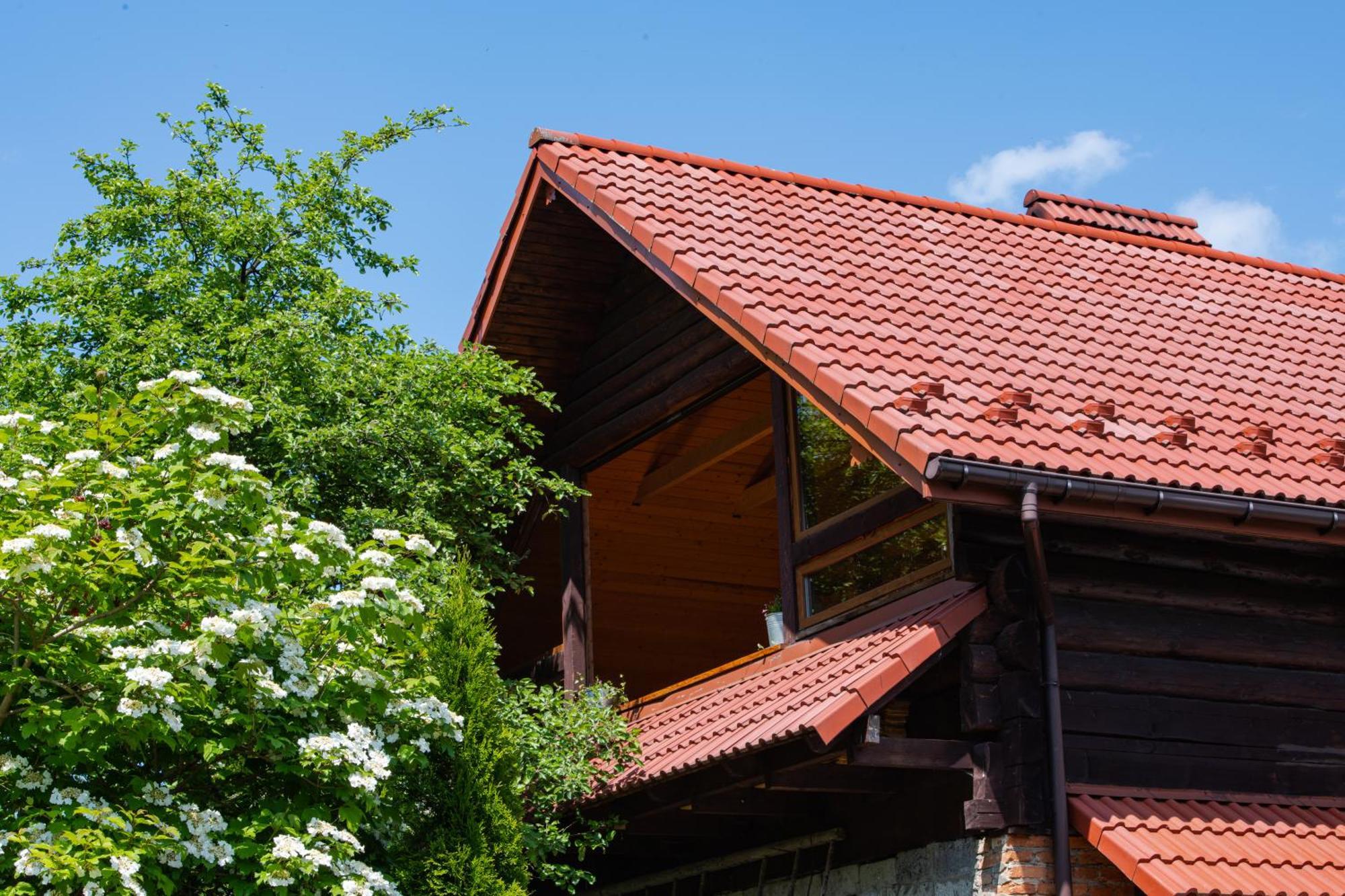 Ferienwohnung Знакова Хата Grebenov Exterior foto